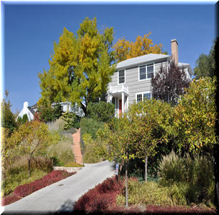 Front Yards